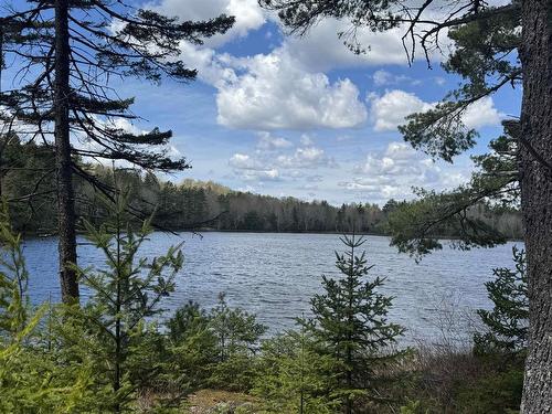 95 Natural Forest Lake Road, Upper Cornwall, NS 