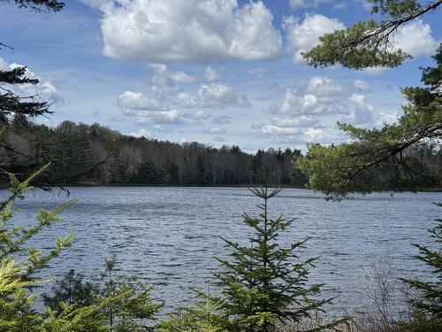 95 Natural Forest Lake Road, Upper Cornwall, NS 