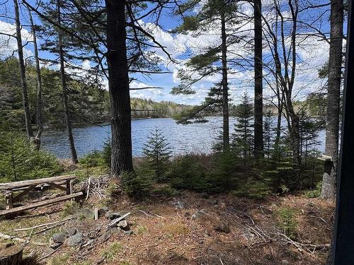 95 Natural Forest Lake Road, Upper Cornwall, NS 