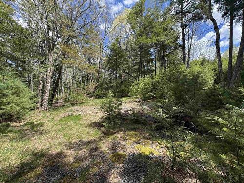 95 Natural Forest Lake Road, Upper Cornwall, NS 