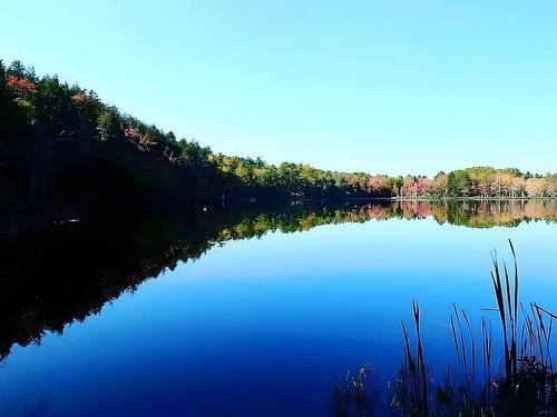 95 Natural Forest Lake Road, Upper Cornwall, NS 