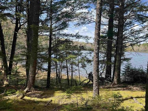 95 Natural Forest Lake Road, Upper Cornwall, NS 