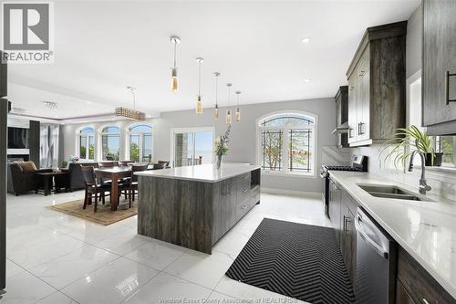 300 Shoreview Circle, Windsor, ON - Indoor Photo Showing Kitchen With Double Sink With Upgraded Kitchen