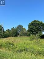 LT 84 Limberlost Lane  Mindemoya, ON P0P 1S0