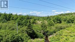 33 Main Street  Sunnyside, NL A0B 3J0