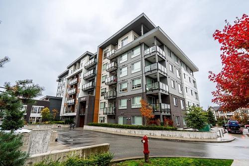 B228 20834 80 AVENUE  Langley, BC V2Y 3M6