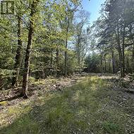 Lot 49 Island View Terrace  Labelle, NS B0T 1E0