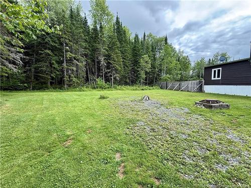 1270 Back Lake Rd, New Denmark, NB 