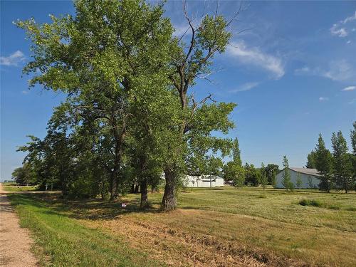 0 217 Provincial Road, Arnaud, MB 