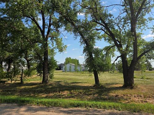0 217 Provincial Road, Arnaud, MB 