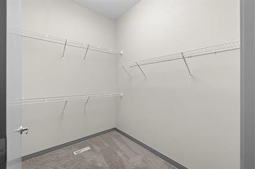 46 Stan Bailie Dr, Winnipeg, MB - Indoor With Storage