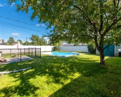 Courtyard - 