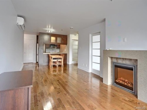 Living Room - 307-11891 Rue Lachapelle, Montréal (Ahuntsic-Cartierville), QC - Indoor Photo Showing Living Room With Fireplace