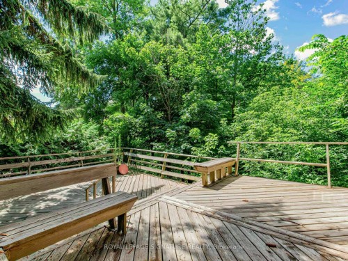 162 Bathgate Drive, Toronto, ON - Outdoor With Deck Patio Veranda
