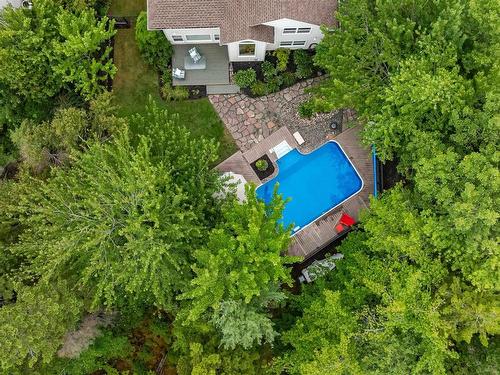 17 Oakley Avenue, Halifax, NS - Outdoor With In Ground Pool