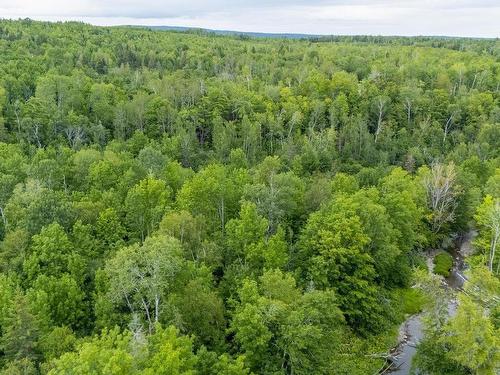Graveyard Road, Stillman, Six Mile Brook, NS 