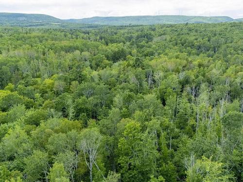 Graveyard Road, Stillman, Six Mile Brook, NS 