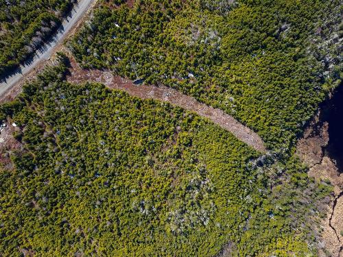 19 Lipkudamoonk Path, Clam Bay, NS 