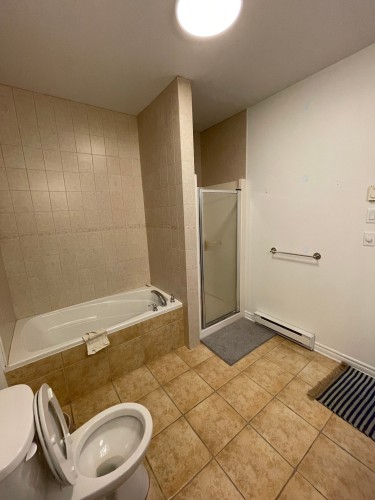 Salle de bains - 313-1750 Rue St-Louis, Montréal (Saint-Laurent), QC - Indoor Photo Showing Bathroom