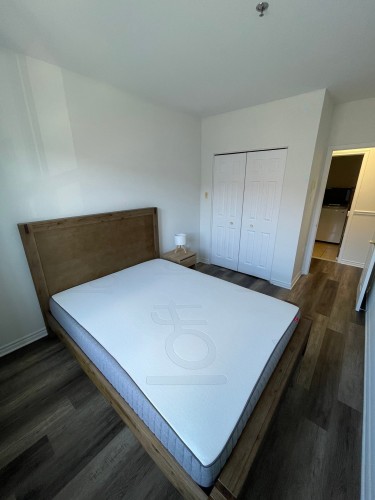 Chambre à coucher - 313-1750 Rue St-Louis, Montréal (Saint-Laurent), QC - Indoor Photo Showing Bedroom