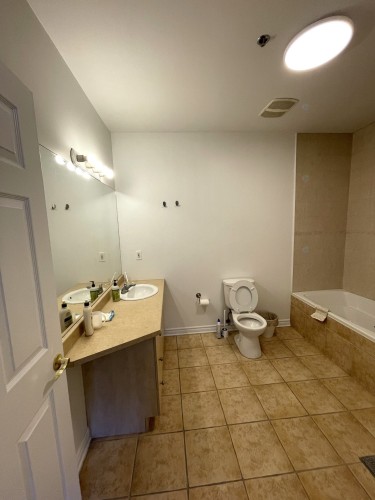 Salle de bains - 313-1750 Rue St-Louis, Montréal (Saint-Laurent), QC - Indoor Photo Showing Bathroom