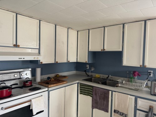 Cuisine - 965 Ch. Du Roi, Longue-Pointe-De-Mingan, QC - Indoor Photo Showing Kitchen With Double Sink