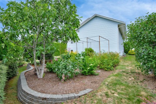 356 Rees Rd, Courtenay, BC 