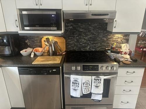 1909 Mountdale Ave., Thunder Bay, ON - Indoor Photo Showing Kitchen With Stainless Steel Kitchen With Upgraded Kitchen