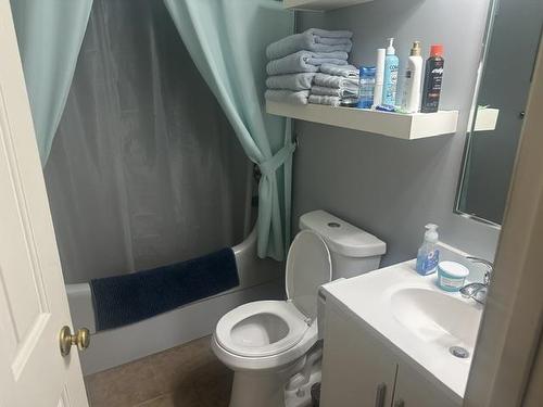 1909 Mountdale Ave., Thunder Bay, ON - Indoor Photo Showing Bathroom
