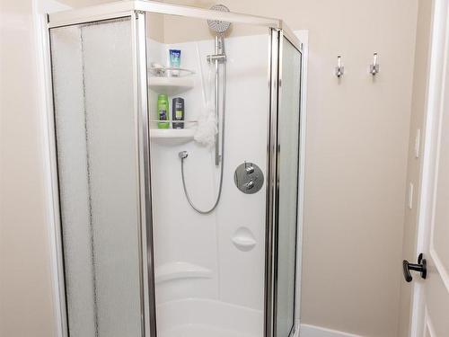 2422 Broadway Ave, Thunder Bay, ON - Indoor Photo Showing Bathroom