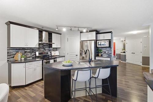 220 Thorn Dr, Winnipeg, MB - Indoor Photo Showing Kitchen With Double Sink With Upgraded Kitchen