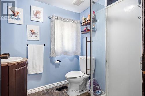 56 Mitchell Street, St. Thomas, ON - Indoor Photo Showing Bathroom