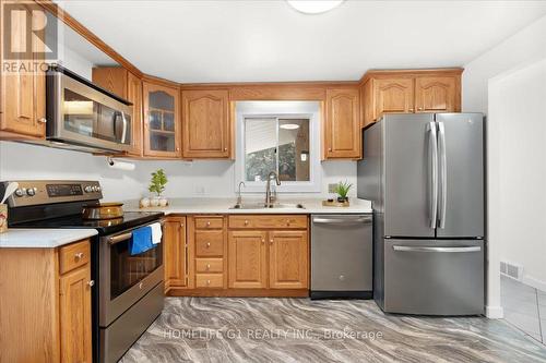 19 Milton Avenue W, Cambridge, ON - Indoor Photo Showing Kitchen With Double Sink