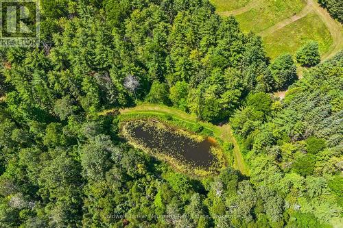 4676 Concession 11 Road, Puslinch, ON 