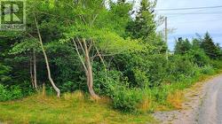 28 Duffs Road Holyrood, NL A0A 2R0