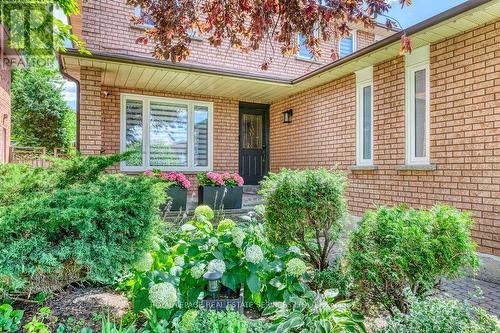 4544 The Gallops, Mississauga, ON - Outdoor