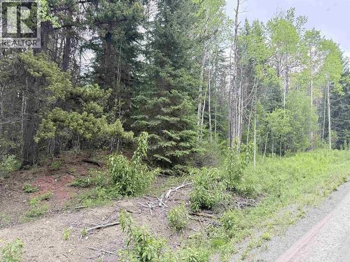 23512 Howells Road, Smithers, BC 