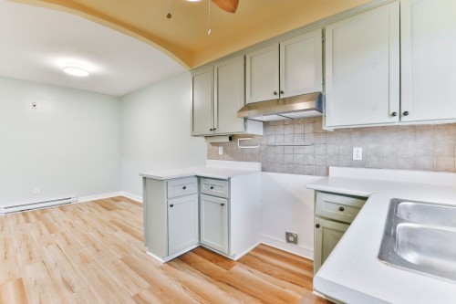 Kitchen - 2062 Rue Bossuet, Montréal (Mercier/Hochelaga-Maisonneuve), QC - Indoor Photo Showing Kitchen