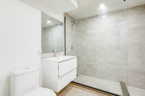 Bathroom - 1-7919 Rue De Bordeaux, Montréal (Villeray/Saint-Michel/Parc-Extension), QC - Indoor Photo Showing Bathroom