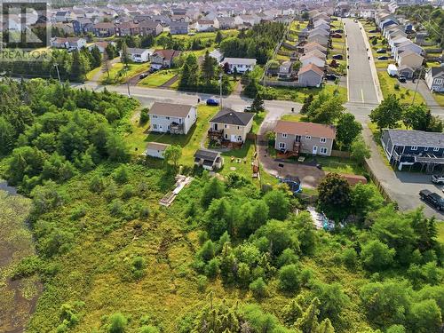 134 St. Thomas Line, Paradise, NL - Outdoor With View