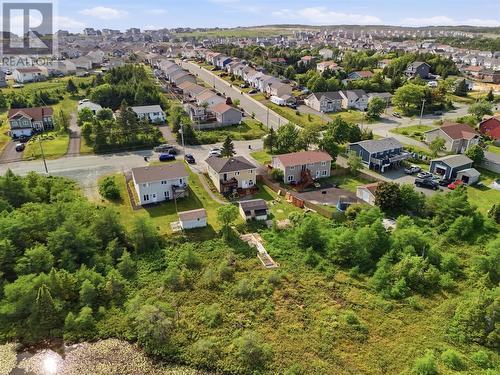 134 St. Thomas Line, Paradise, NL - Outdoor With View