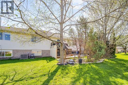 1739 Castleton Avenue, Windsor, ON - Outdoor