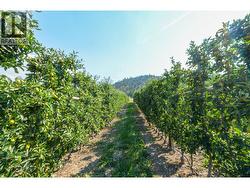 9827 Gillard Avenue Summerland, BC V0H 1Z8