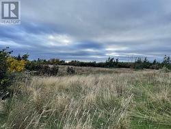 4 Gabriel Drive Port Au Port East, NL A0N 1T0