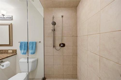 100 Waterloo St, Winnipeg, MB - Indoor Photo Showing Bathroom