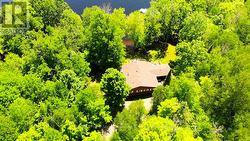 Nestled in the Trees - 