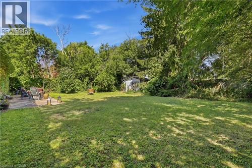 Expansive backyard with a manicured lawn, established perimeter trees, and a concrete patio - 356 Thompson Road, London, ON - Outdoor
