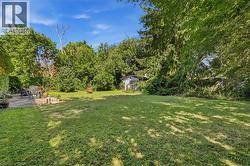 Expansive backyard with a manicured lawn, established perimeter trees, and a concrete patio - 