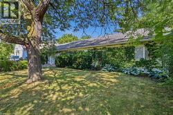 Spacious front yard with mature tree providing shade - 