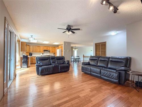 138 Lynx Crescent, Brandon, MB - Indoor Photo Showing Living Room